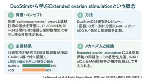 DuoStimから学ぶExtended ovarian stimulationという概念（J Assist Reprod Genet. 2026）